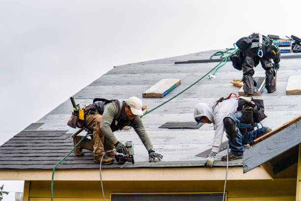 Professional Roofing technician working in Harpersville, AL